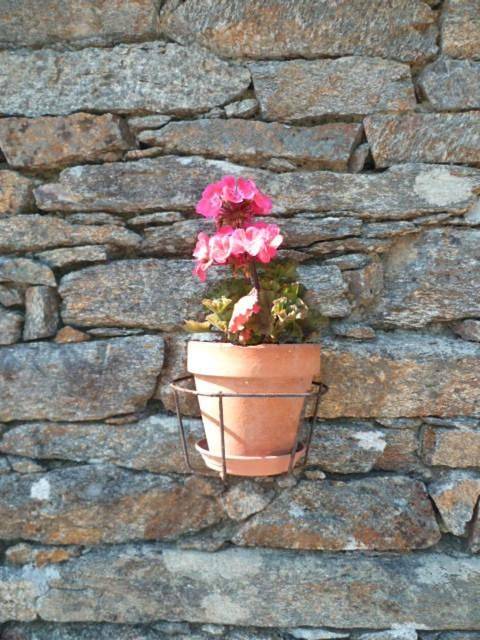 Location de vacances pour 5 personnes, avec jardin, animaux acceptés à Goulien - 3