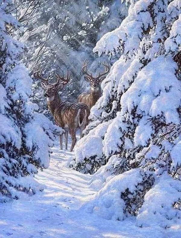 Ferienwohnung für 3 Personen, mit Balkon in Bad Harzburg - 3