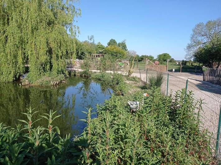 Chambre d’hôte pour 2 personnes, avec jardin à Pontorson - 3
