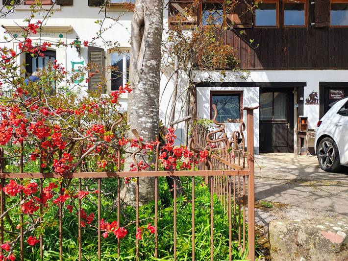 Ferienwohnung für 8 Personen, mit Garten in Schopfheim - 3