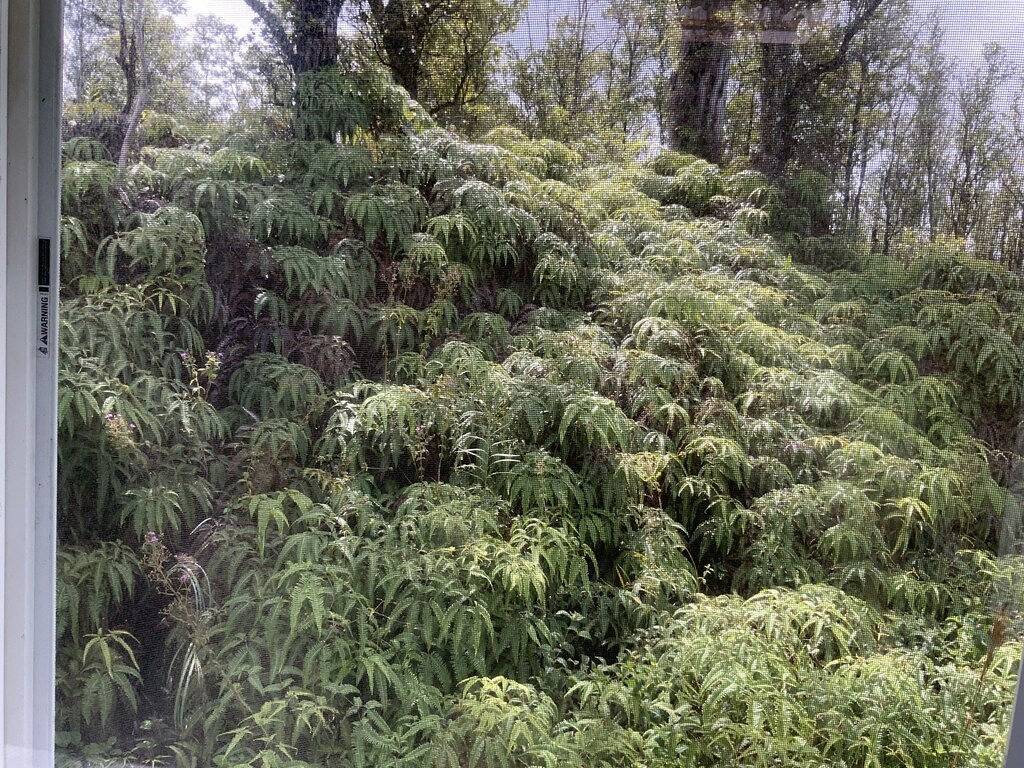 Ganze Wohnung, Convenient comfortable studio in peaceful tropical forest G7 in Kopua Farm Lots, West Puna