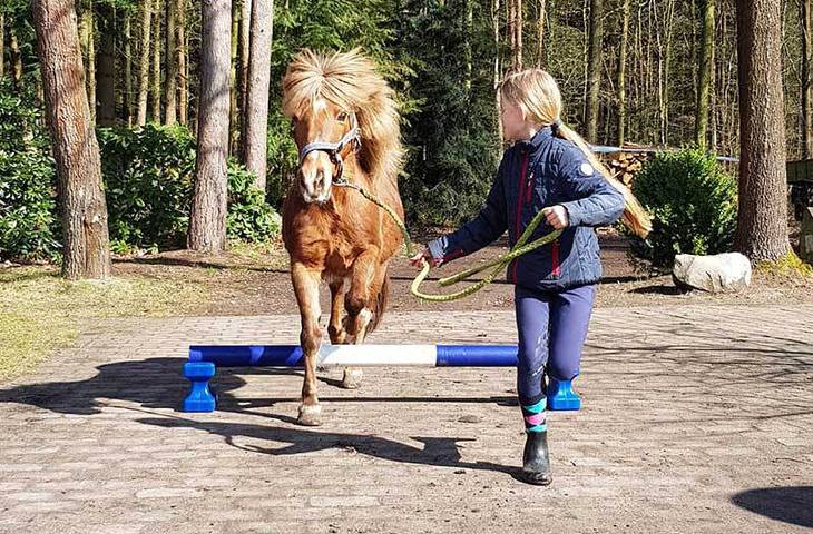 Bauernhof für 2 Personen, mit Pool und Garten sowie Terrasse in der Lüneburger Heide