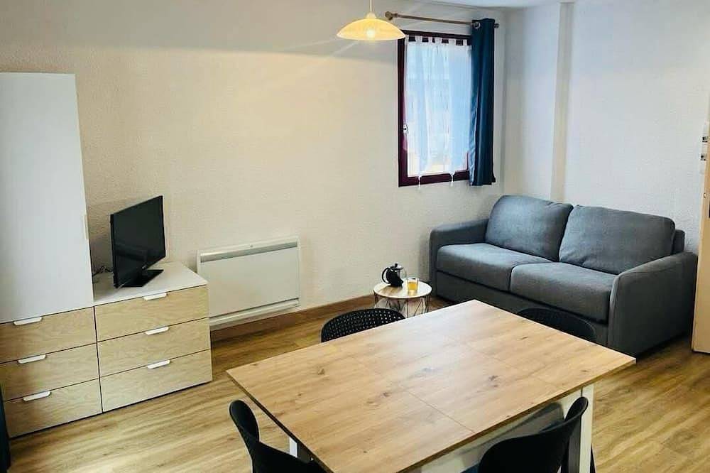Ganze Wohnung, Hautes-Pyrénées Studio, ruhigen Gebäude, privater Parkplatz, nahe dem Zentrum in Luz-Saint-Sauveur, Nationalpark Pyrenäen