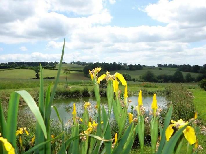 Location de vacances pour 7 personnes, avec terrasse à Bais - 3