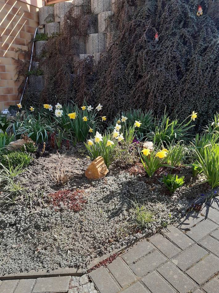 Ferienhaus für 3 Personen, mit Terrasse im Erzgebirge - 2