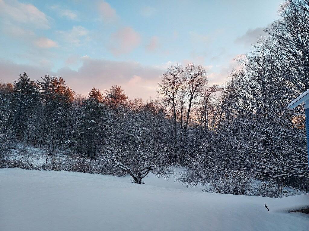 Ganze Wohnung, Hawks Mountain Farm, full apartment on a working farm. in Windsor County