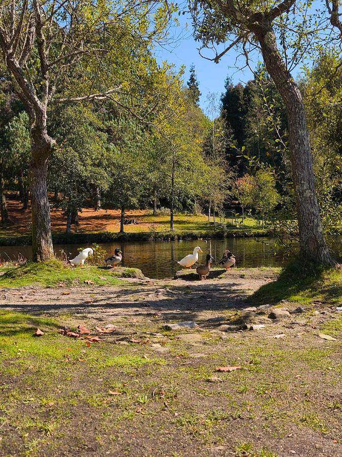 La Casa del Lago Castiñeiras refugio para familias y amigos in Vilaboa, Costa de Galicia