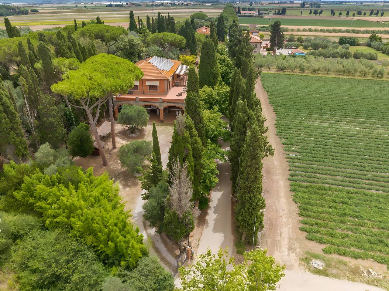 Ganze Wohnung, Ferienwohnung 'Villa I Tigli - Pansy' mit Gemeinschaftspool, Wlan und Klimaanlage in Campiglia Marittima, Etruskische Küste