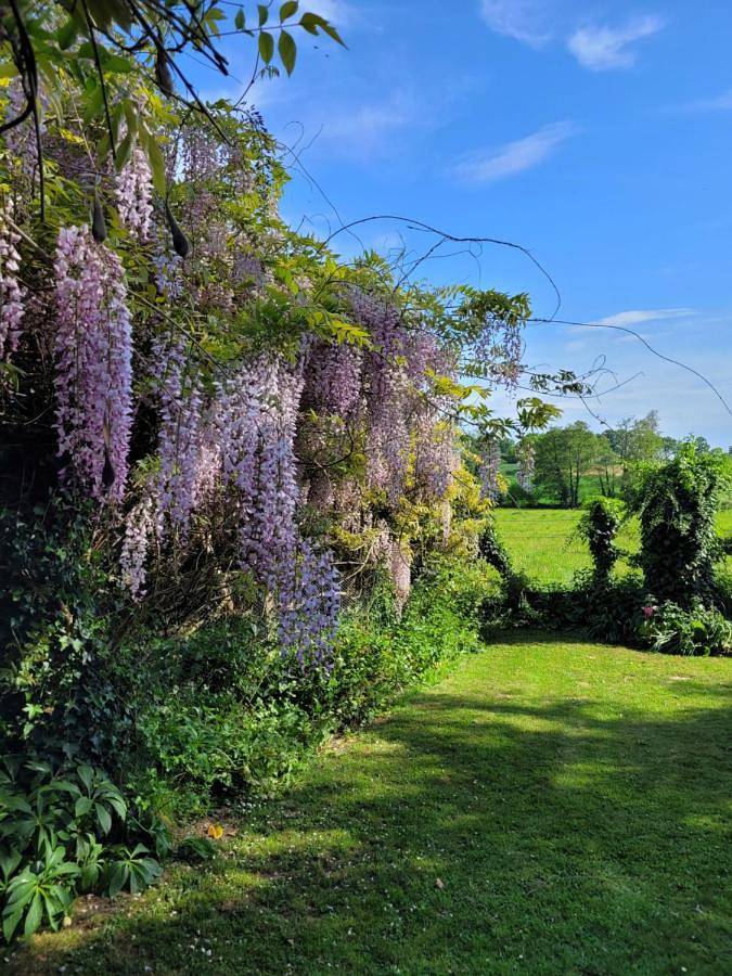 Location de vacances pour 4 personnes, avec jardin et piscine à Saint-Denis-de-Villenette - 2