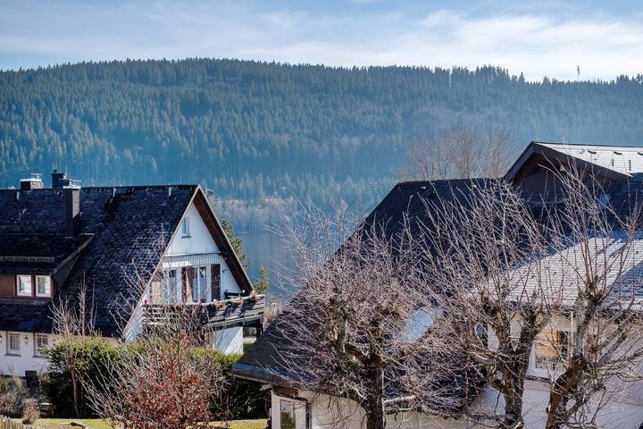 Gîte pour 2 personnes, avec vue sur le lac et balcon, animaux acceptés à Titisee-Neustadt - 2