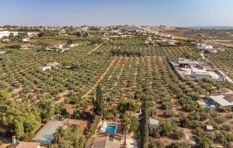 Charmante Wohnung in Montilla mit Pool und Parkplatz in Montilla, Córdoba Provinz