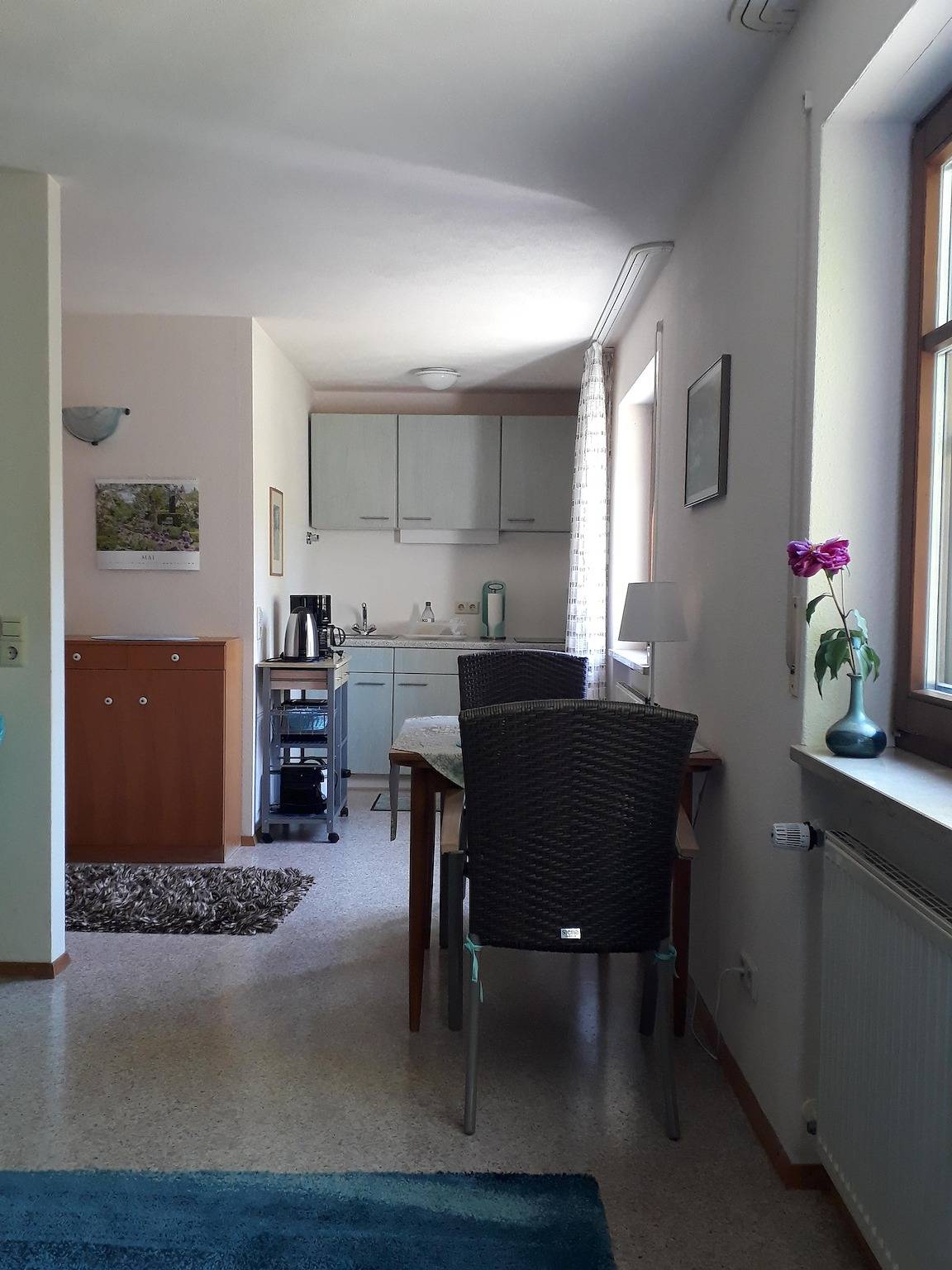 Ganze Ferienwohnung, Ferienwohnung Stumpe - 1-Zimmer-Fewo, Eg in Allensbach, Untersee