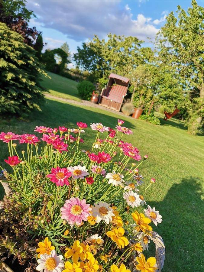 Ferienwohnung für 5 Personen, mit Garten und Ausblick an der Bleilochtalsperre - 3