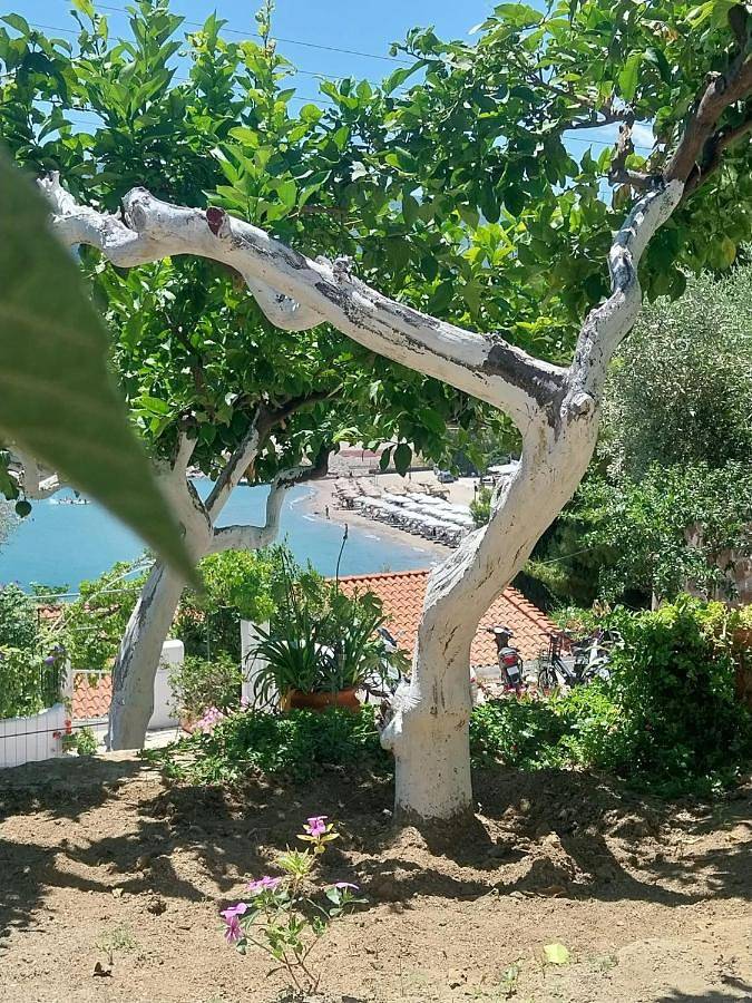 Vakantieappartement voor 4 personen, met uitzicht en tuin - 1