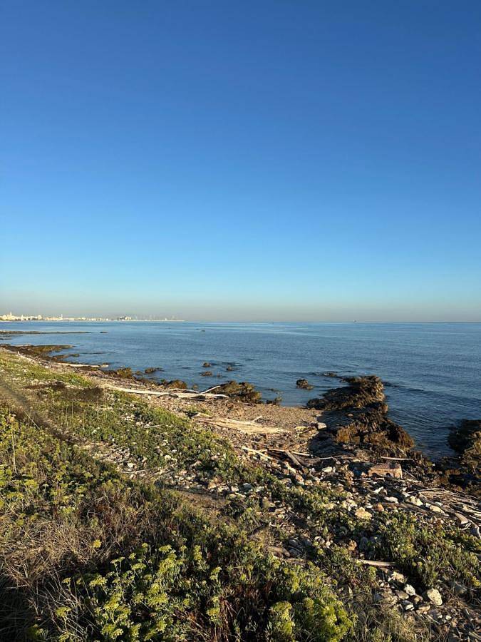 Villa fronte mare in Bari, Provincia di Bari