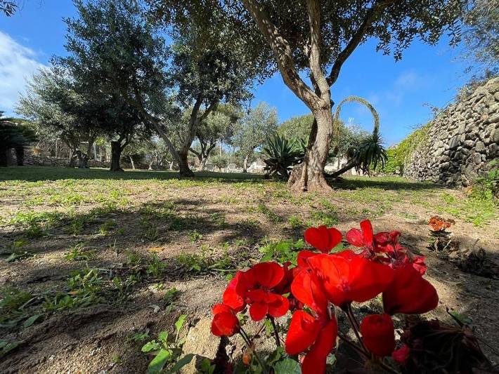 Maison d’hôte pour 2 personnes, avec jardin ainsi que terrasse et vue à Favignana - 2