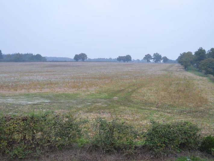 Location de vacances pour 11 personnes, avec jardin et terrasse à Arthon - 3