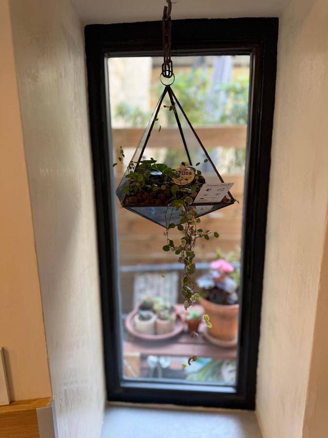 Gîte pour 2 personnes, avec vue et terrasse, animaux acceptés à Aiguèze - 4