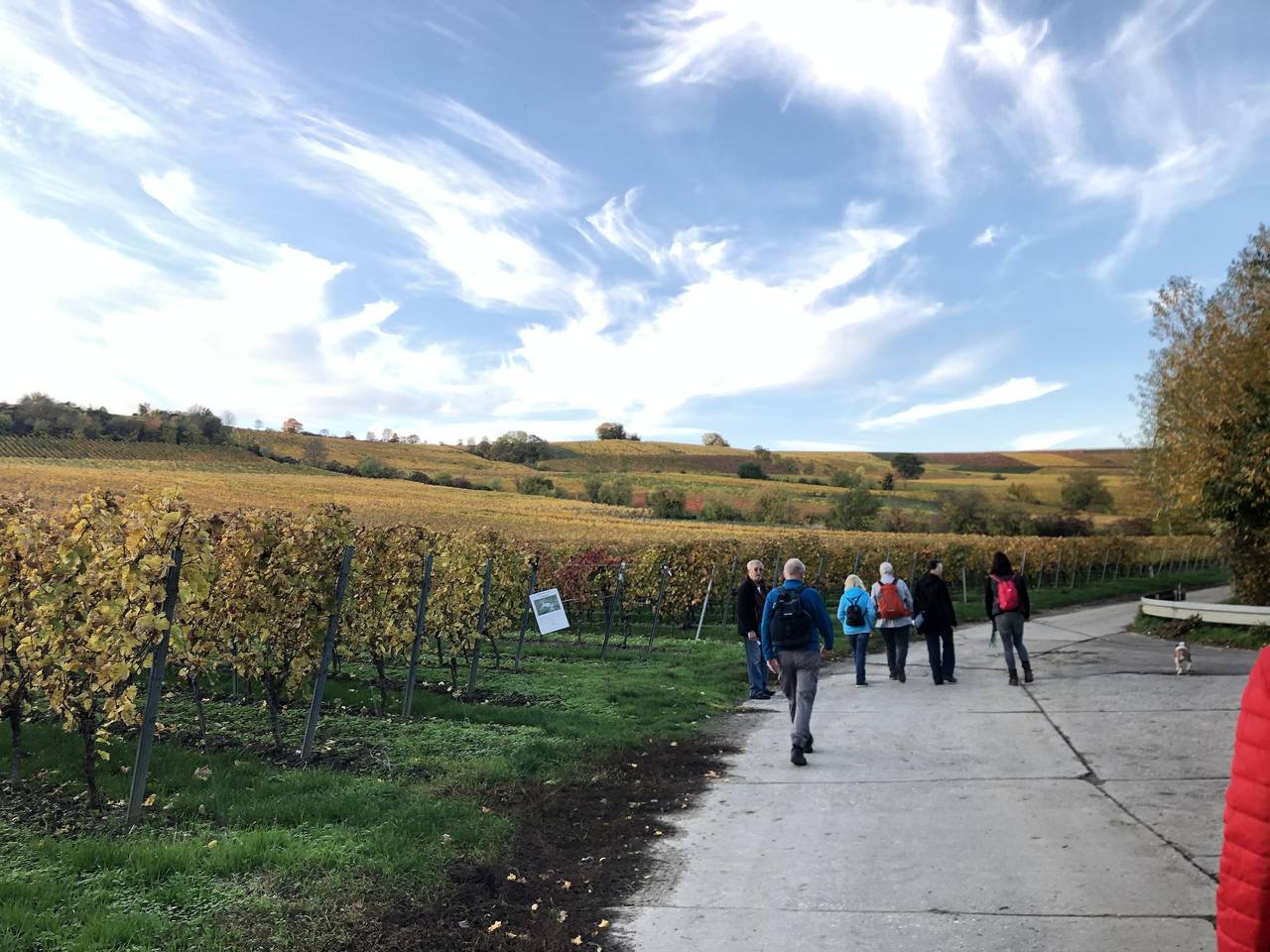 Apartamento vacacional entero, Loft 1 - 45 qm/Fewo, Dusche, Wc in Oppenheim, Hesse Renano