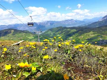 Ferienwohnung für 2 Personen in Wildschönau, Tiroler Unterland, Bild 4