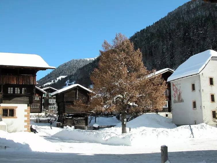 Ganze Wohnung, 3 Pièces 5 Personnes in Ernen, Aletsch Arena