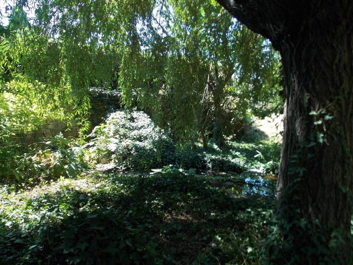 Gîte pour 4 personnes, avec piscine et jardin à Laurens - 3
