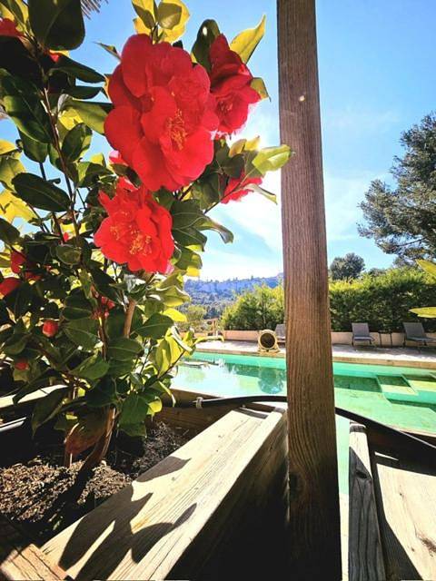 Location de vacances pour 2 personnes, avec jardin et vue ainsi que bassin pour enfant et piscine à Les Baux-de-Provence - 2