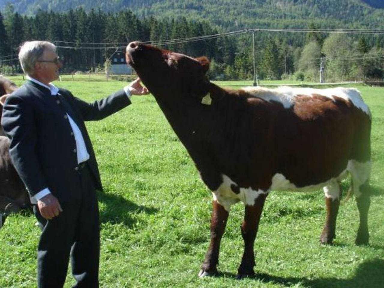 Ganze Ferienwohnung, Biobauernhof Prentnergut - Fewo Bauernstubn in Hinterstoder, Totes Gebirge