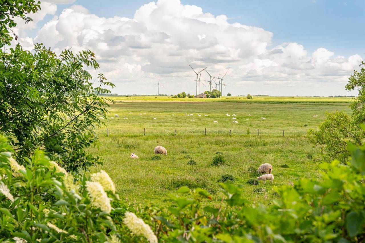 Linas Huis in Neukirchen (Nordfriesland), Nordfriesland