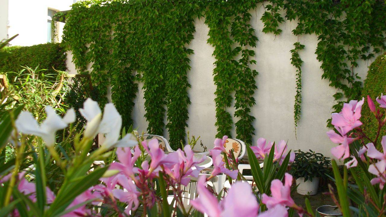Vacation Rental for 4 Guests in Cotta, Dresden