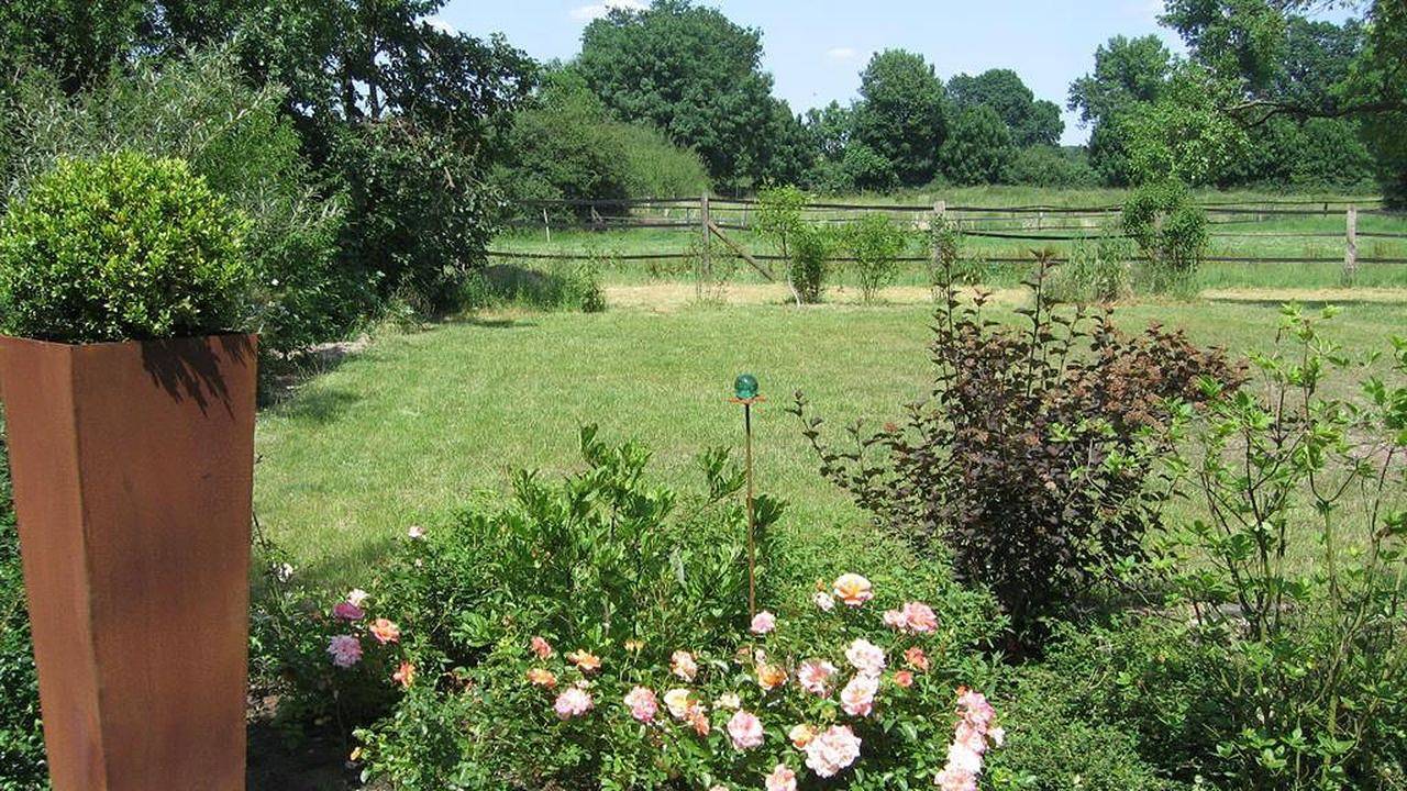 Ganze Ferienwohnung, Ferienwohnung für 4 Personen (76 m²) in Schwarmstedt in Schwarmstedt, Landkreis Heidekreis