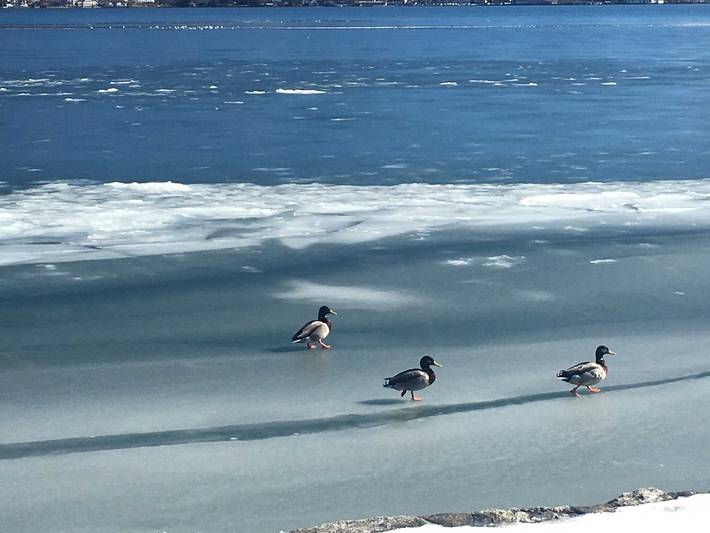 Ferienwohnung für 4 Personen, mit Balkon und Ausblick sowie Seeblick, kinderfreundlich in Bad Wiessee - 3