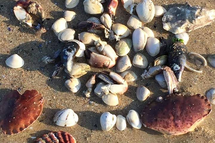 Maison de vacances pour 6 personnes, avec balcon à Bernières-sur-Mer