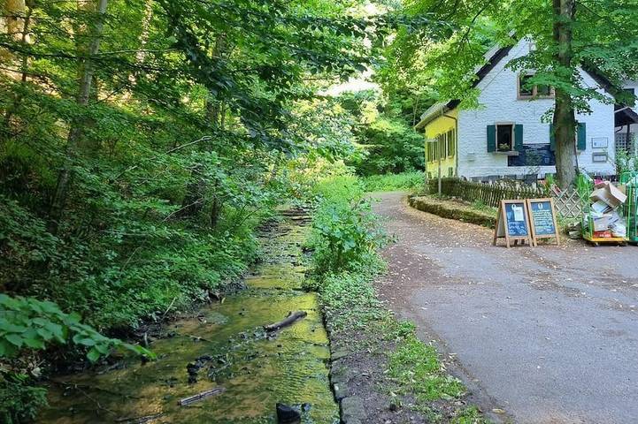 Ferienwohnung für 4 Personen, mit Balkon, mit Haustier in Deidesheim - 3