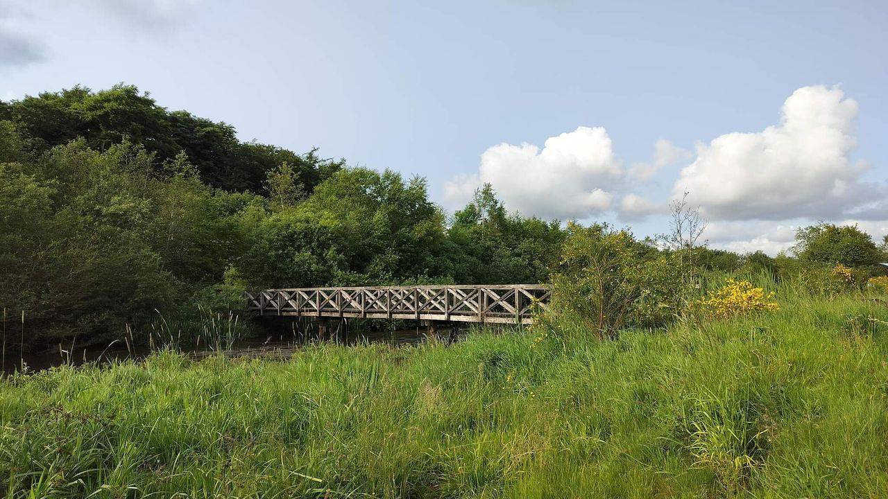 Ferienhaus für 10 Personen (140 m²) in Ansager in Varde