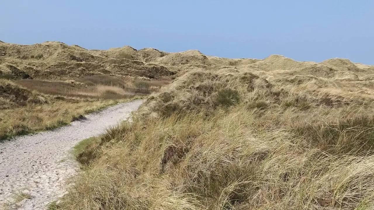 Feriehus for 9 personer med terrasse in Henne, Varde (Danmark)
