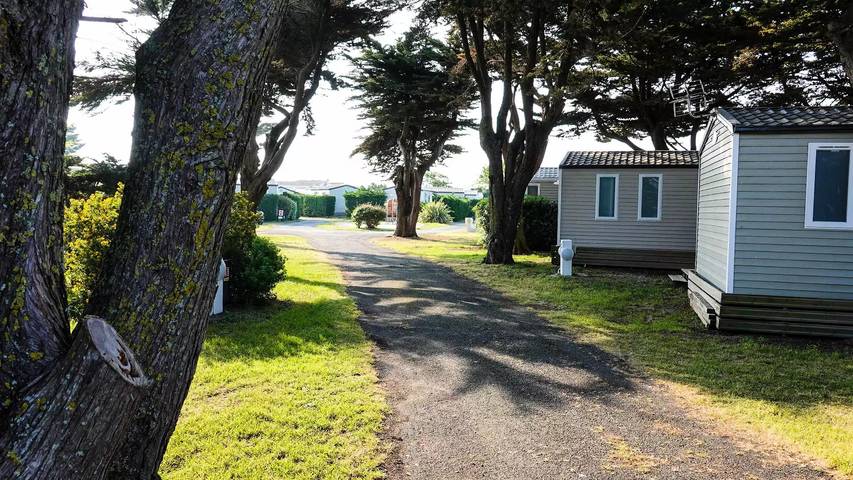 Hogar móvil Cosy Plus TV Lv Wifi - 2 dormitorios - 4 personas in Saint-Clément-des-Baleines, Isla de Ré