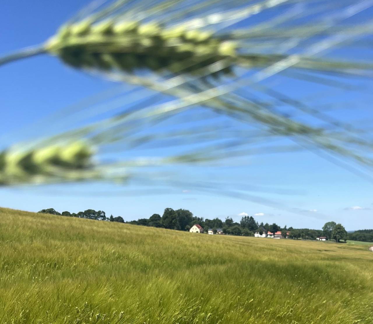Ferienwohnung Auszeit in Dippoldiswalde, Osterzgebirge