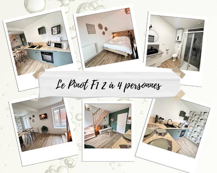 Gîte pour 4 personnes, animaux acceptés à Chouilly - 2