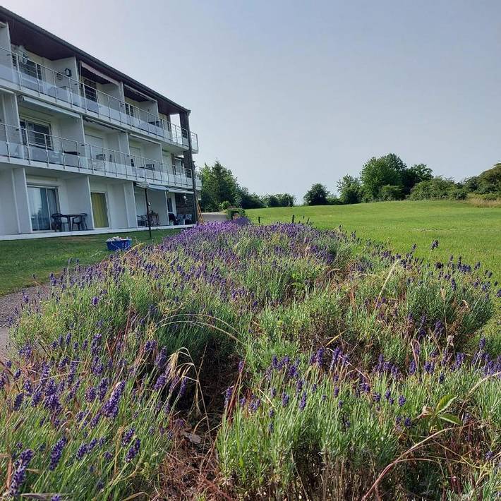 Gîte pour 2 personnes, avec vue et jardin dans Warre - 3