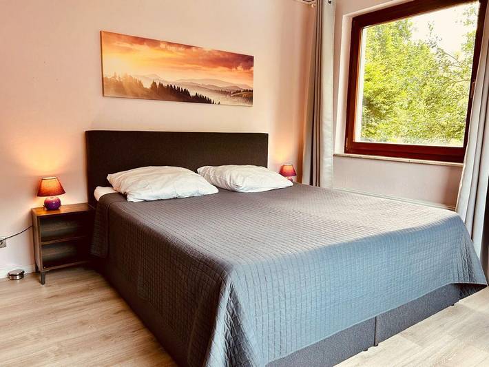 Ferienhaus für 12 Personen, mit Garten und Pool sowie Balkon, kinderfreundlich im Harz - 2