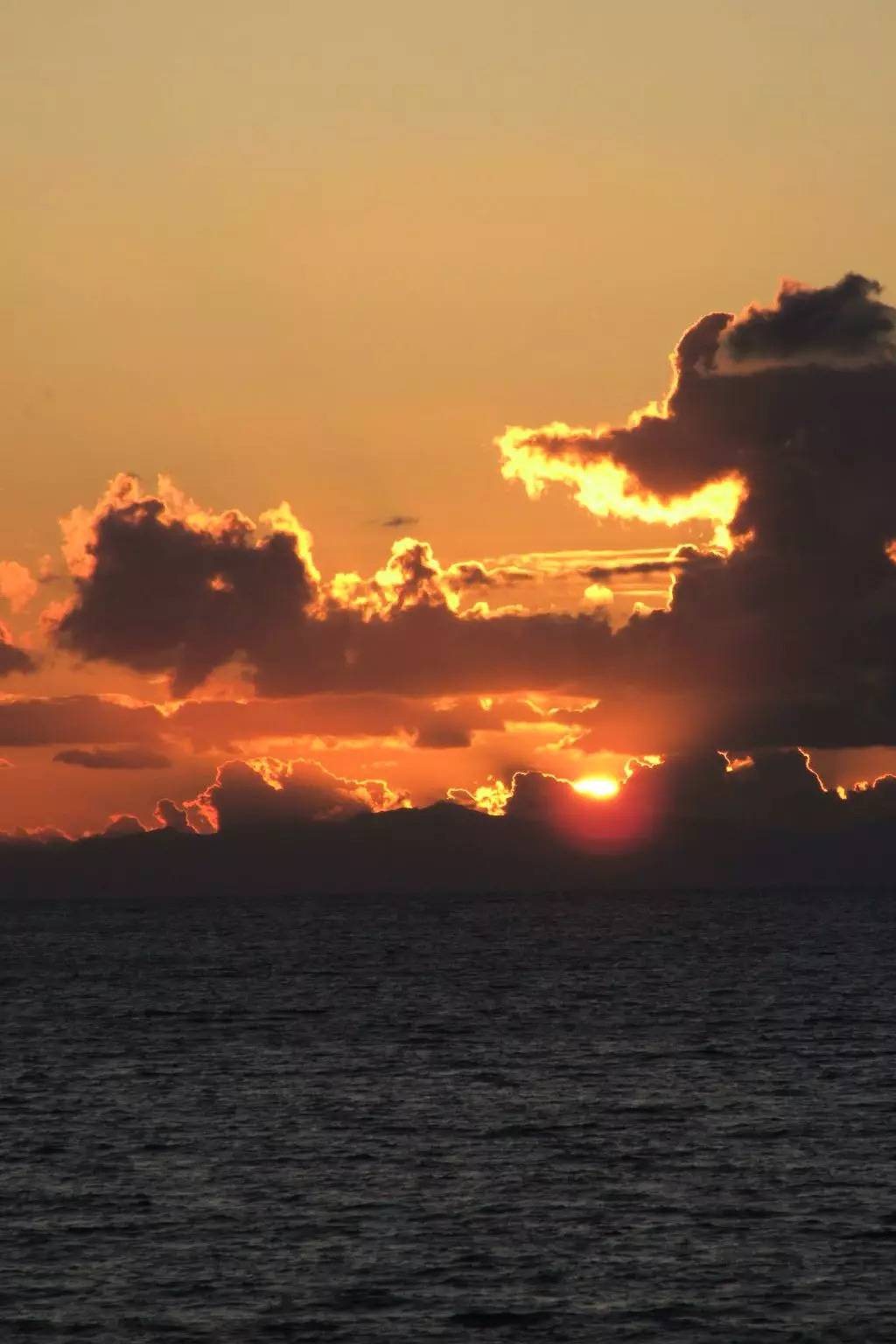 Appartement entier, 3 Pièces 5 Personnes in Marina di Castagneto Carducci, Côte des Étrusques