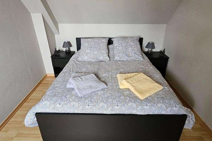 Gîte pour 12 personnes, avec jardin à Changé - 3