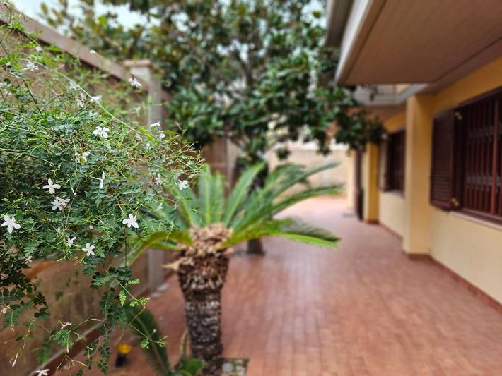 B&b per 2 persone, con Balcone e Terrazza nonché Giardino e Panorama a Palermo