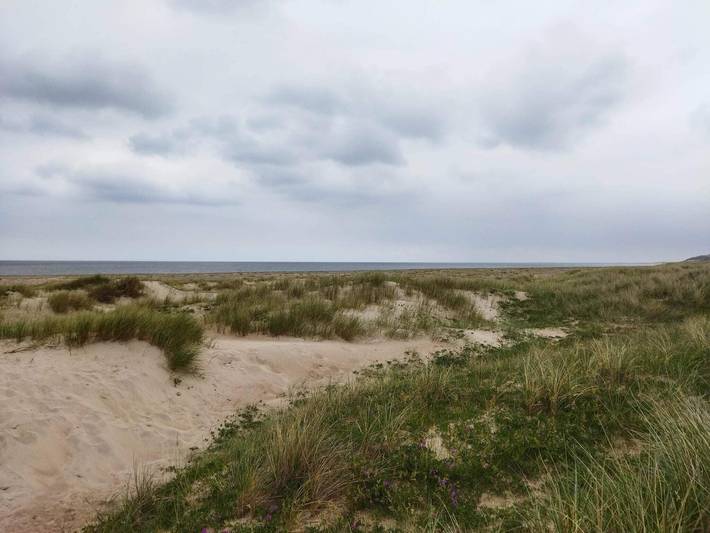 Ferienhaus für 4 Personen, mit Terrasse und Sauna in Nordjütland - 4