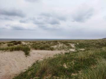 Ferieudlejning til 4 Personer i Fjerritslev, Vesterhavet, Billede 3