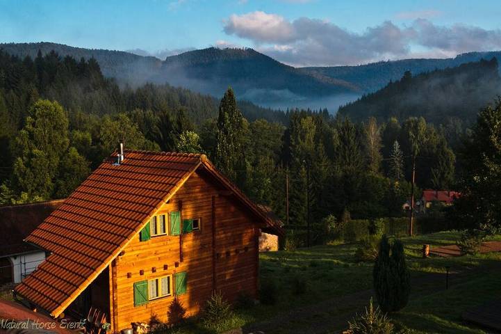 Location de vacances pour 6 personnes à Saulxures (Bas-Rhin)