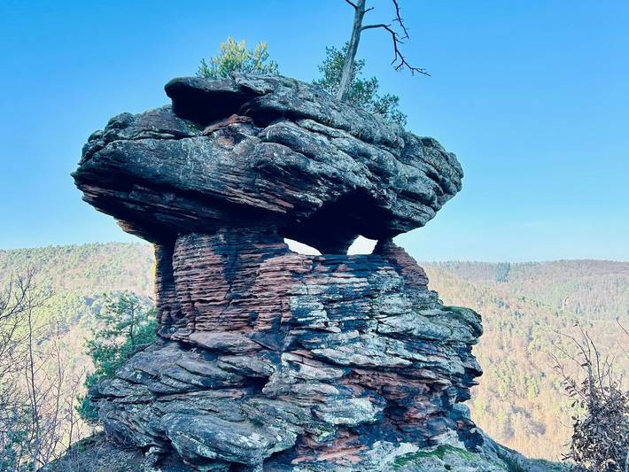 Ferienwohnung für 4 Personen, mit Terrasse und Garten in Annweiler - 4