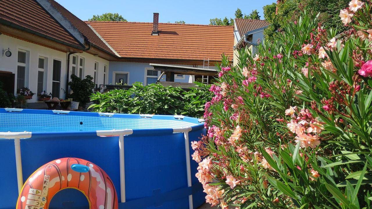 Ganze Ferienwohnung, Ferienwohnung für 5 Personen (80 m²) in Sankt Andrä am Zicksee in Sankt Andrä am Zicksee, Neusiedlersee-Hügelland