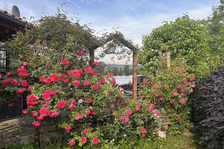 *Seehäuschen* – idyllisches Ferienhaus direkt am See mit Terrasse & Kamin in Lauenförde, Landkreis Holzminden